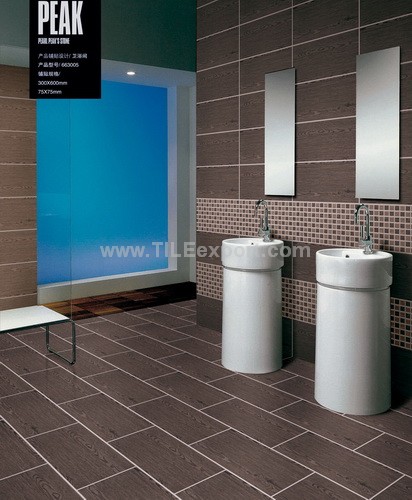 Floor_Tile--Porcelain_Tile,600X600mm[GX],663005_VIEW